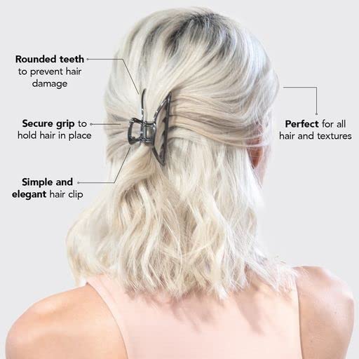 メタルクリップ - ヘマタイト