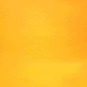 키치 x BT21 새틴 베개 커버 - KOYA - 킹