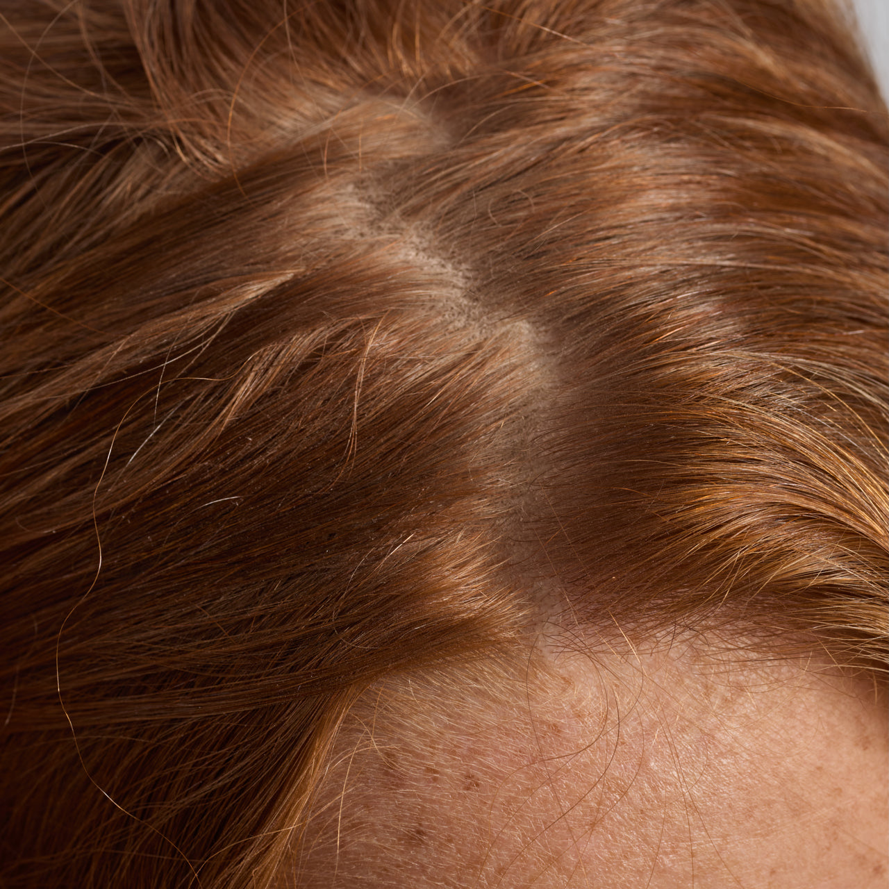 미니 두피 및 헤어 오일 샘플러