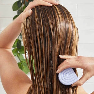 Purple Toning Shampoo & Conditioner Bar Combo for Color-Treated & Grey Hair