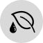 Castor oil leaf with droplet